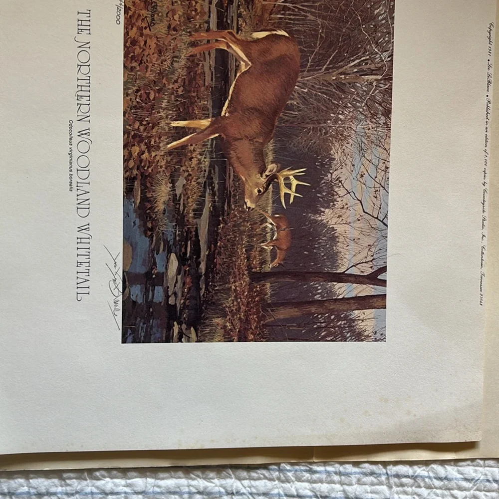 Lee Le Blanc 1981 Northern Woodland Whitetail Stamp, Print, Signed, Numbered - Picture 11 of 12
